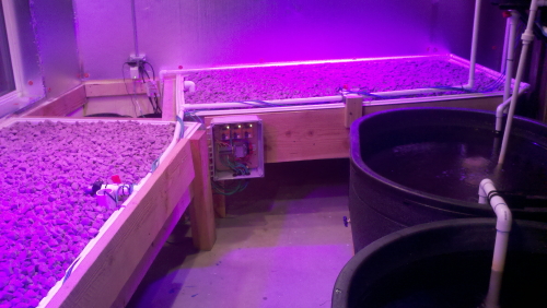 grow beds under red light grow beds under red light