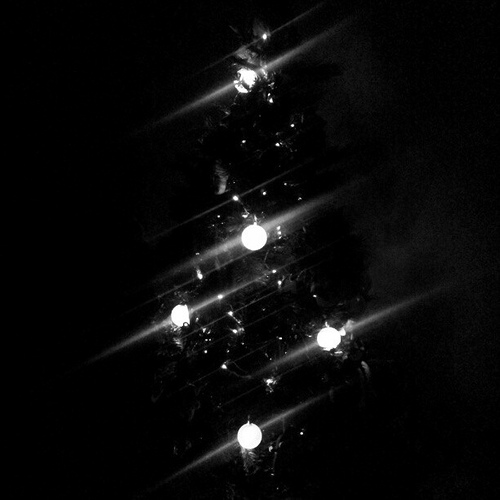 Twitter tree by ajfisher on flickr